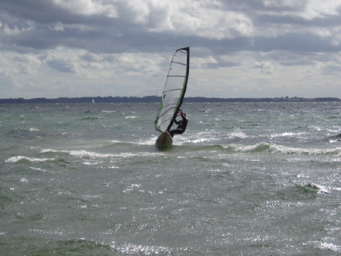 surfer11.jpg